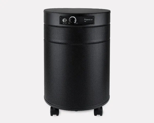 AirPura C700 DLX for Chemicals and Gas Abatement Plus Air Purifier