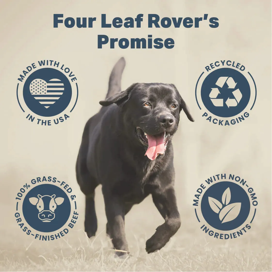 Four Leaf Rover Yeast Guard Plus (3 Step Yeast Support Bundle) Supplements for Dogs