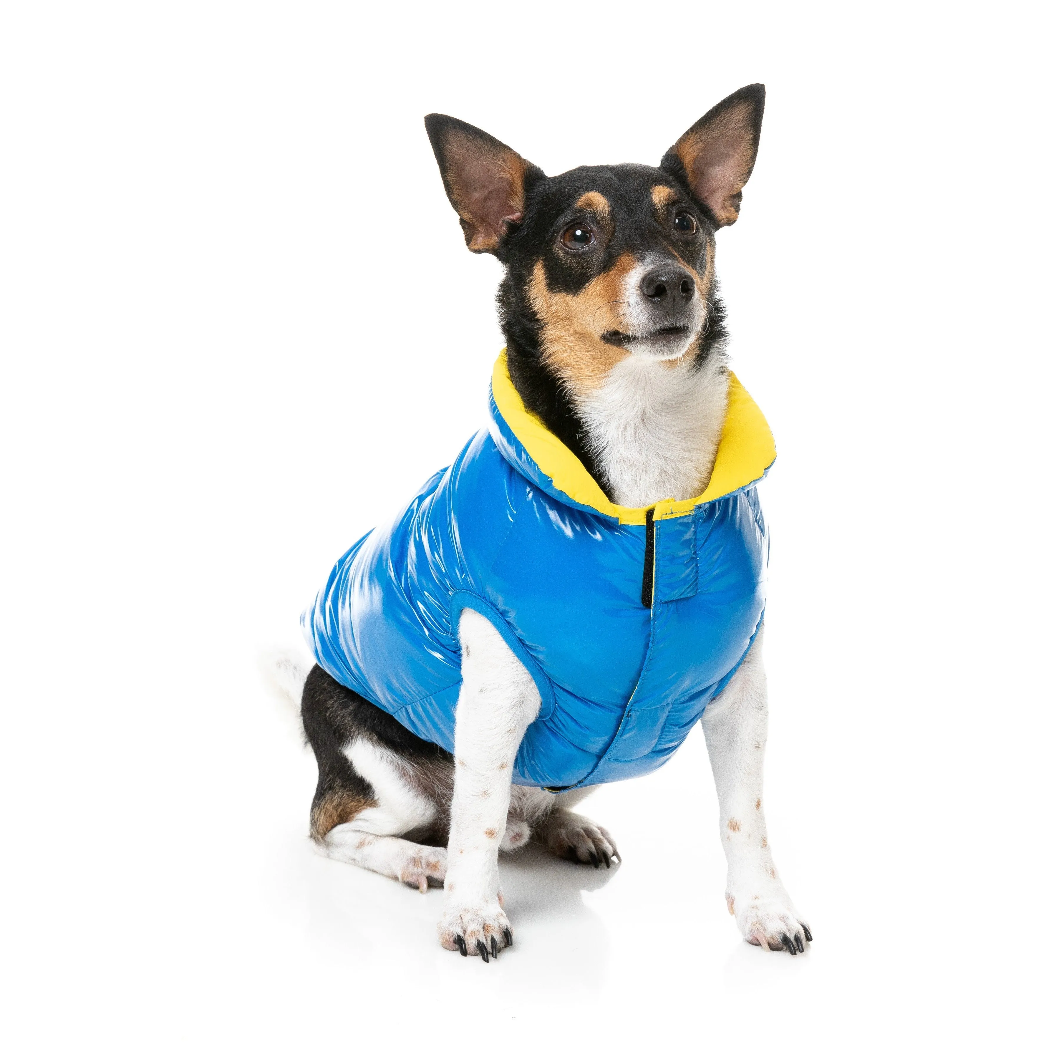 FuzzYard Dog Apparel Amor Puffer Jacket Cobalt Blue and Yellow Size 1 XXSmall***