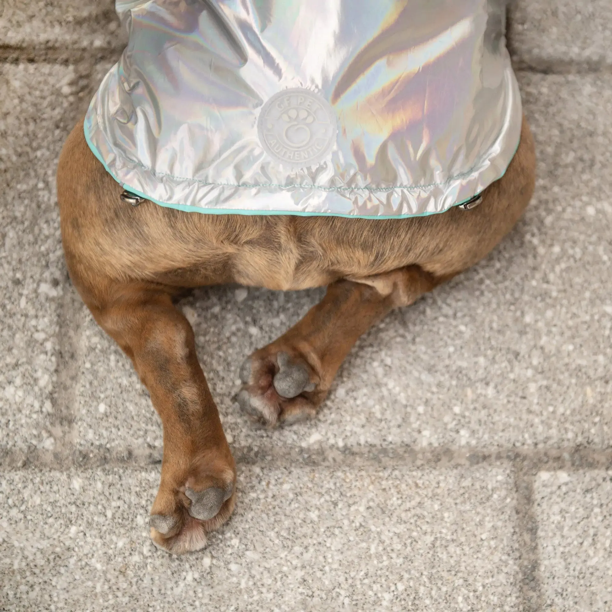 Reversible Dog Raincoat: Neon Aqua / Iridescent Print