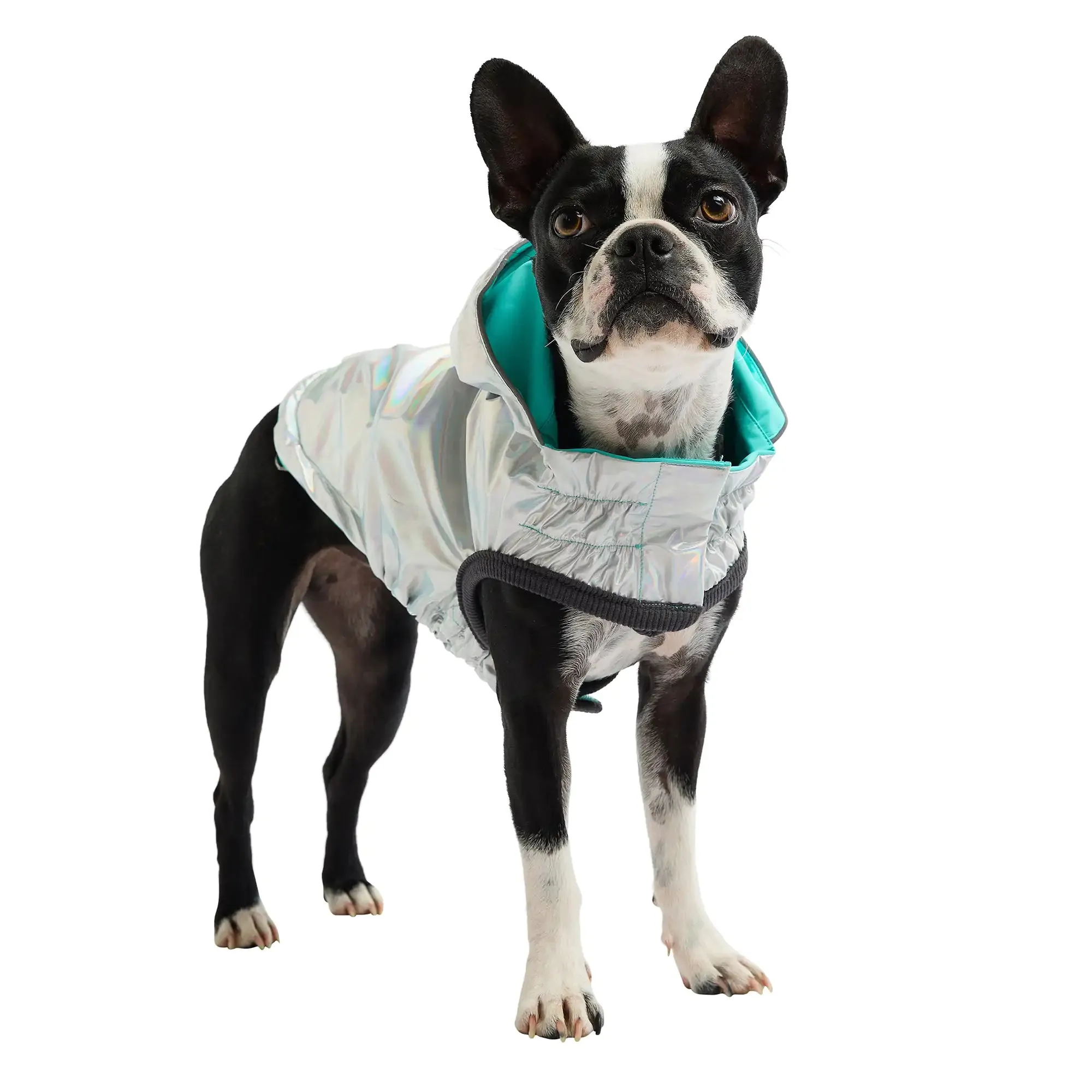 Reversible Dog Raincoat: Neon Aqua / Iridescent Print