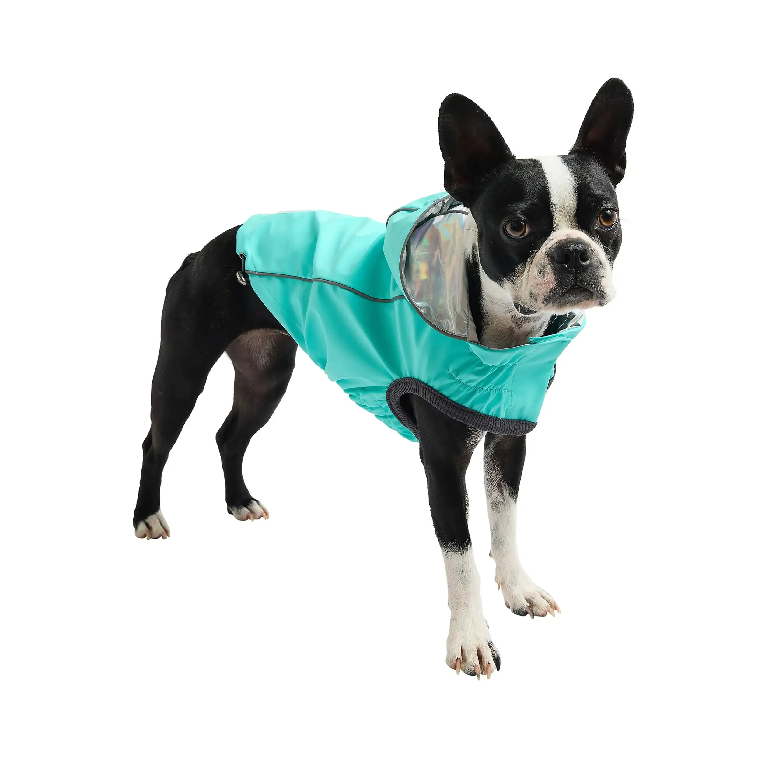 Reversible Dog Raincoat: Neon Aqua / Iridescent Print