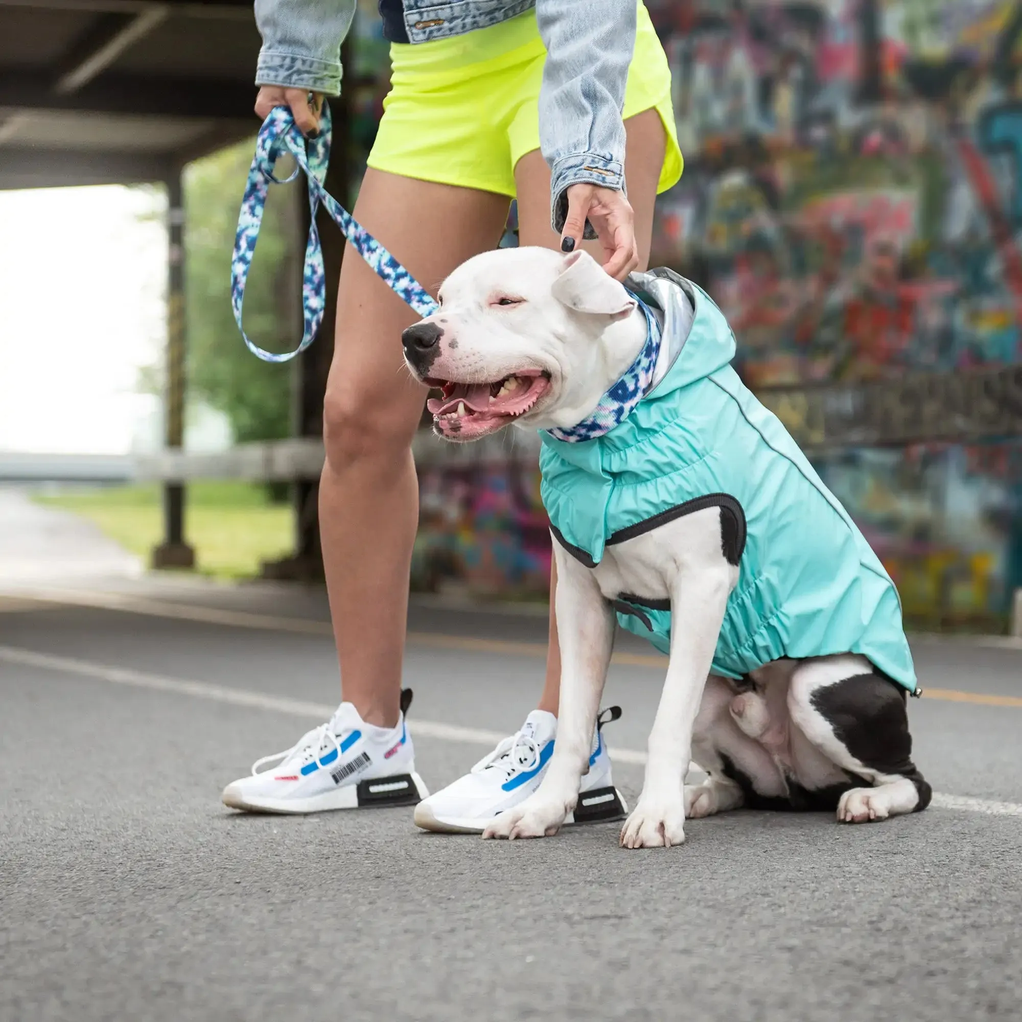 Reversible Dog Raincoat: Neon Aqua / Iridescent Print