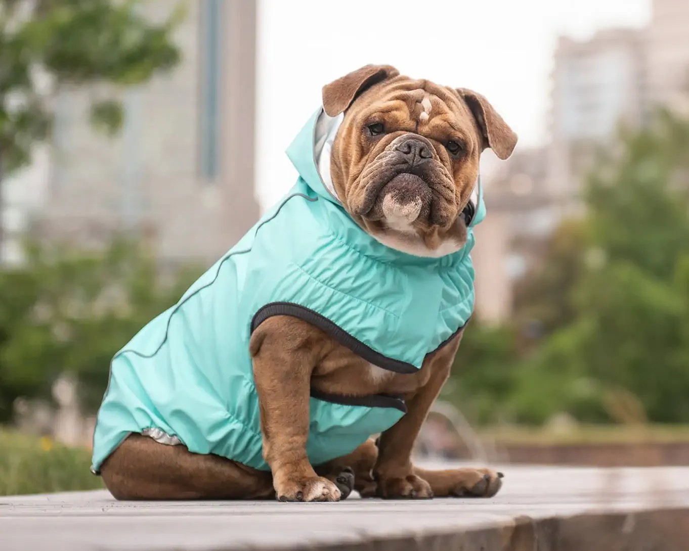 Reversible Dog Raincoat: Neon Aqua / Iridescent Print