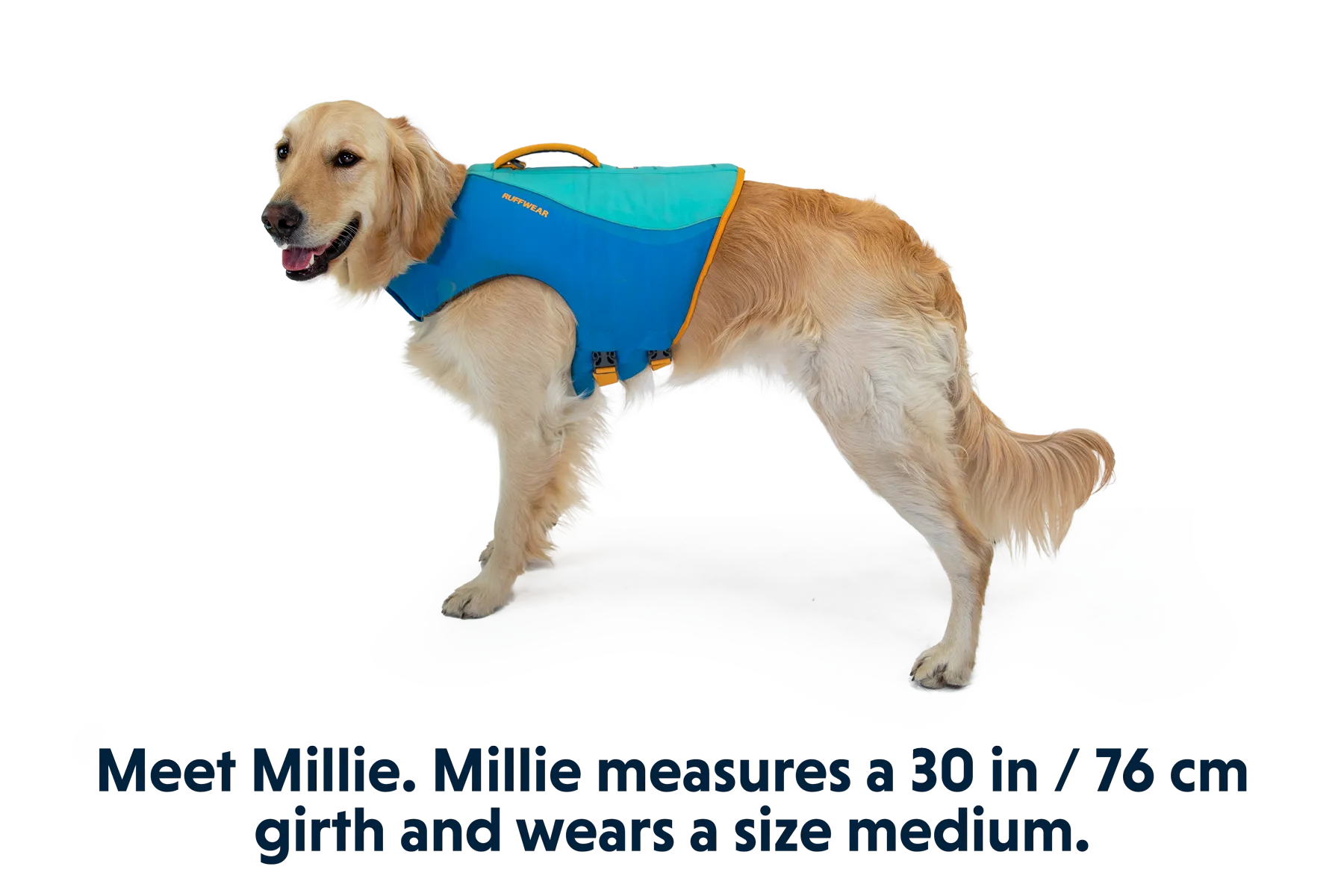 RP - Float Coat™ Dog Life Jacket